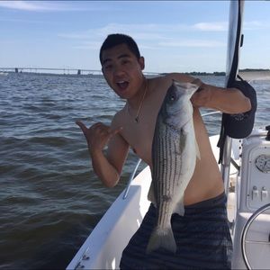 Meet your Posher, David